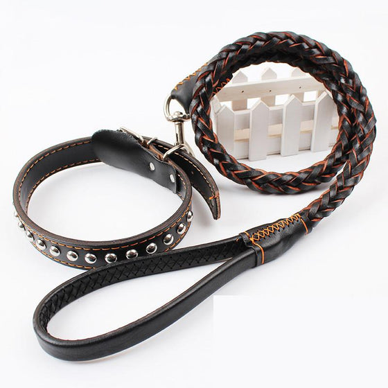 Leather Dog Leash