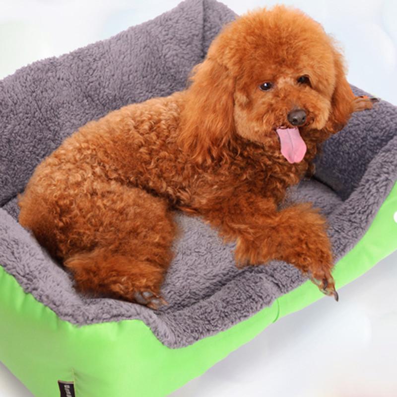 Dog Bed