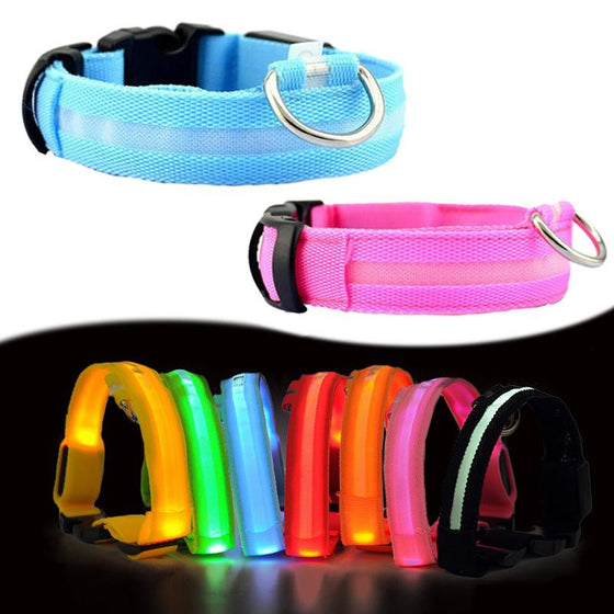 LED Dog Collar