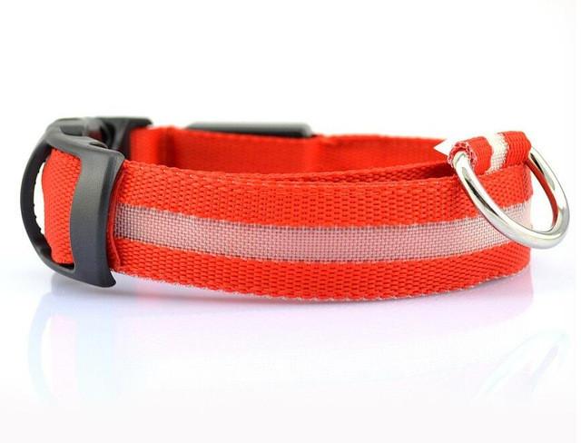 LED Dog Collar