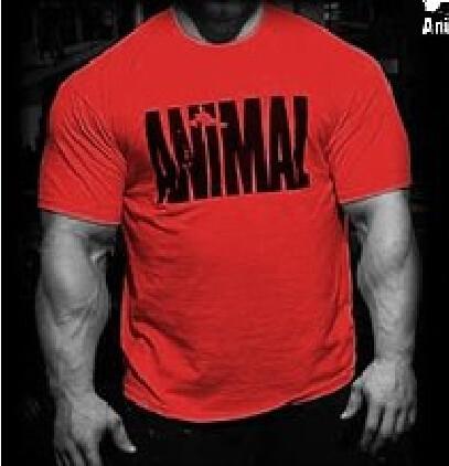 Animal T shirt