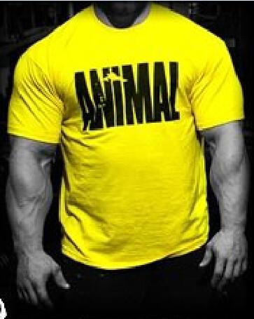 Animal T shirt
