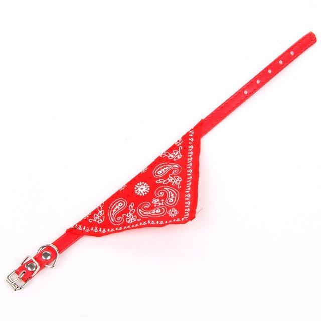 Printed Scarf for Pets