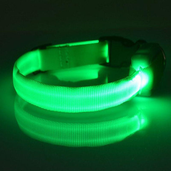 Nylon Dog Collar Night Safety