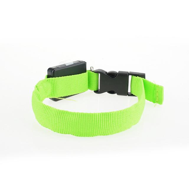 Nylon Dog Collar Night Safety