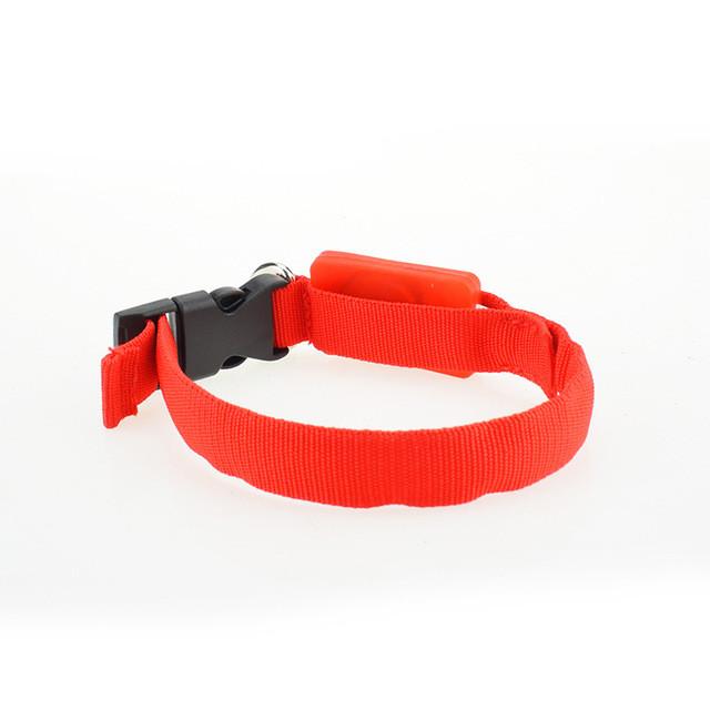 Nylon Dog Collar Night Safety