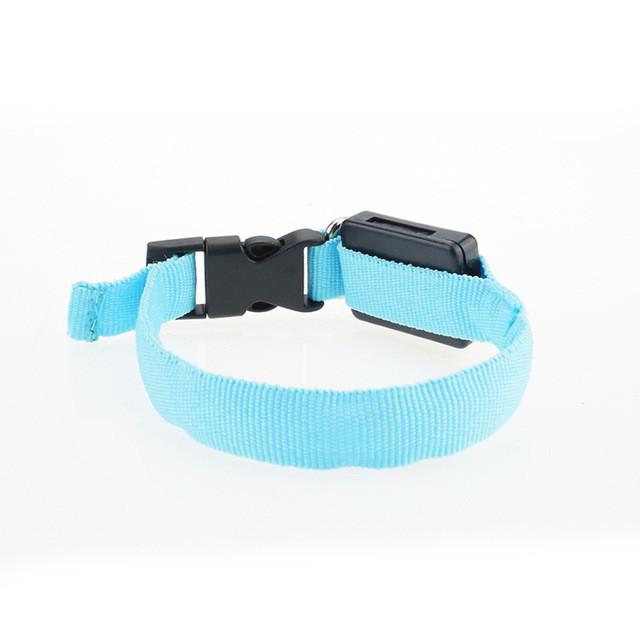 Nylon Dog Collar Night Safety