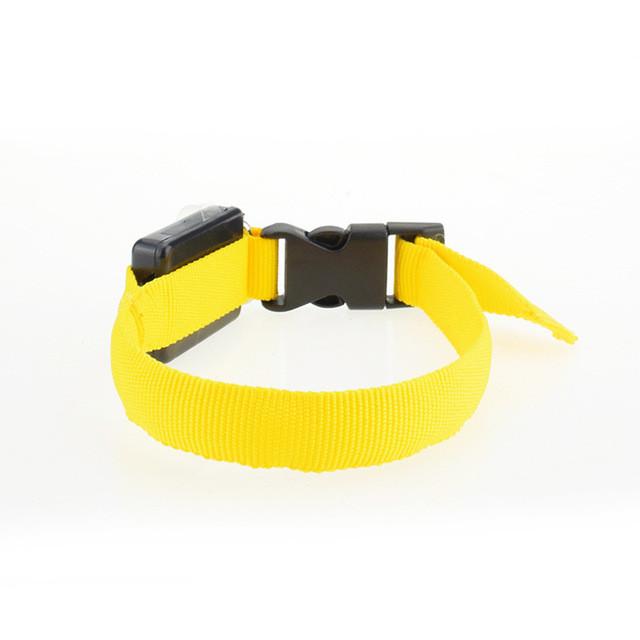 Nylon Dog Collar Night Safety