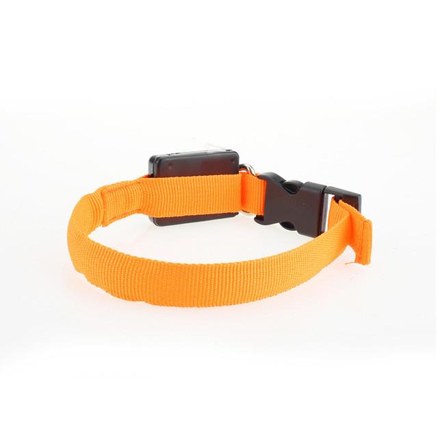 Nylon Dog Collar Night Safety