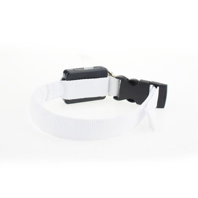Nylon Dog Collar Night Safety