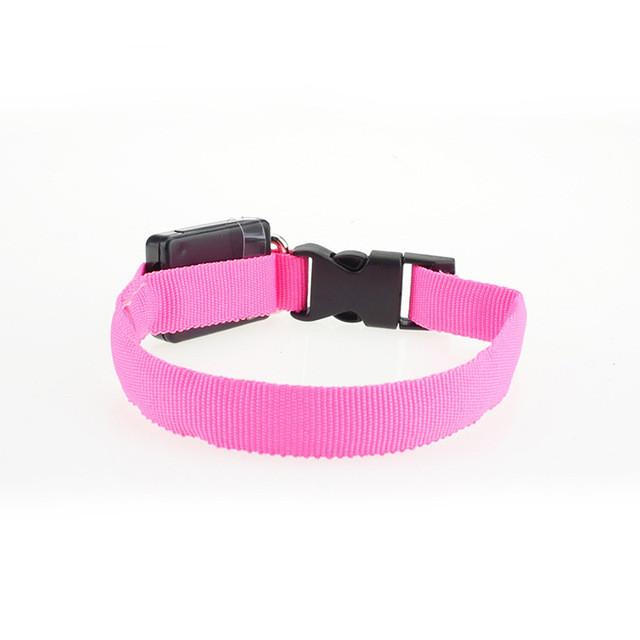 Nylon Dog Collar Night Safety