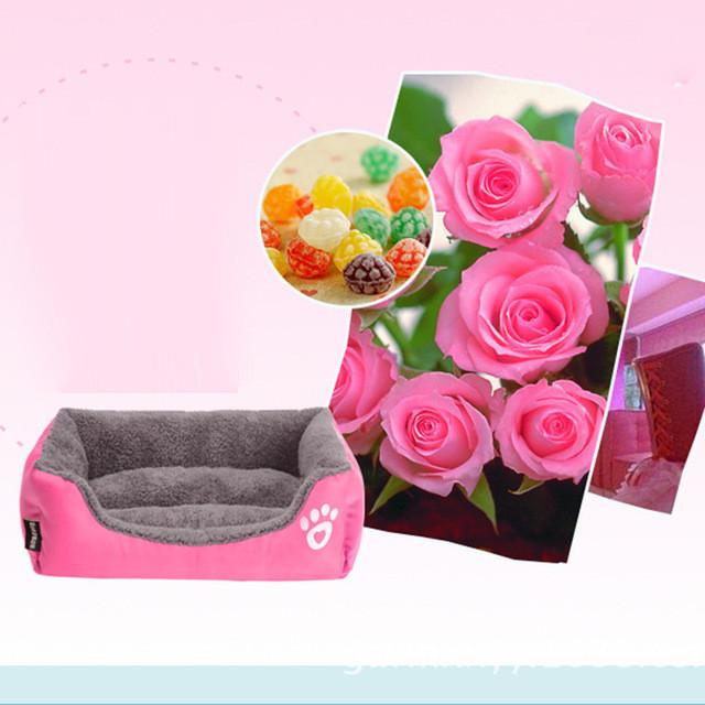 Dog Bed