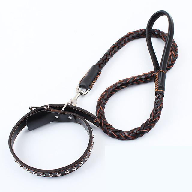 Leather Dog Leash