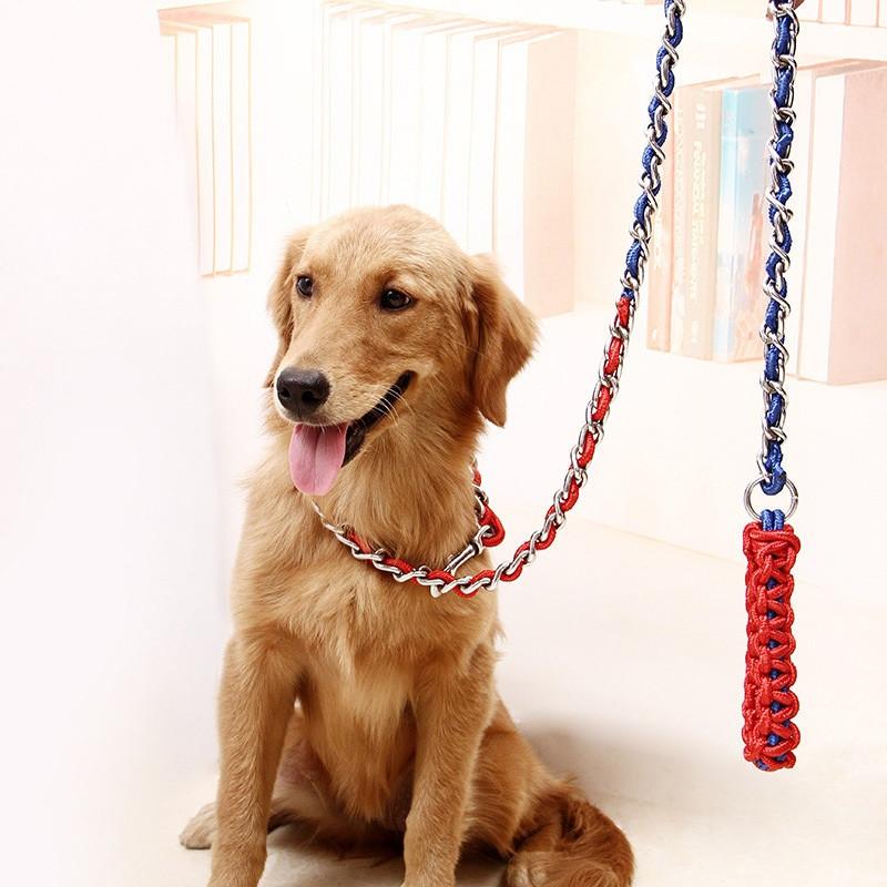 Adjustable Dog Collar