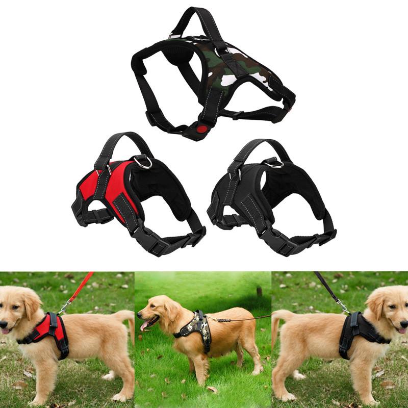 Adjustable Dog Harness